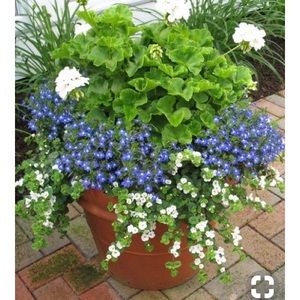 Meet your Posher, Pamela